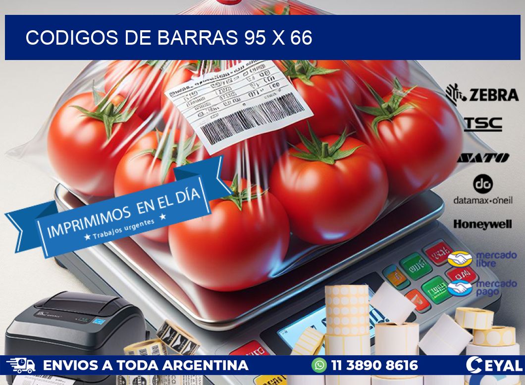 codigos de barras 95 x 66