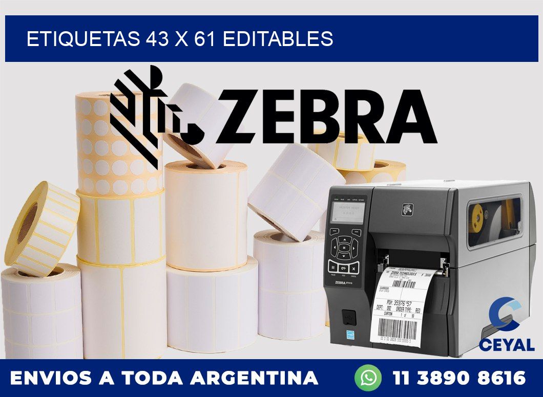 ETIQUETAS 43 x 61 EDITABLES