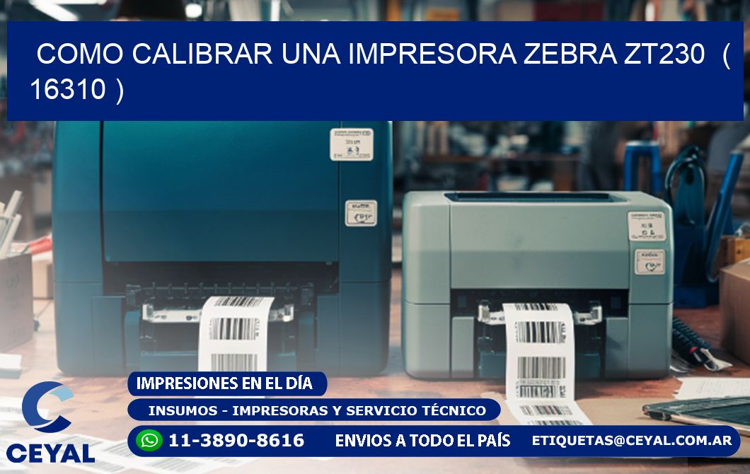 como calibrar una impresora zebra zt230  ( 16310 )