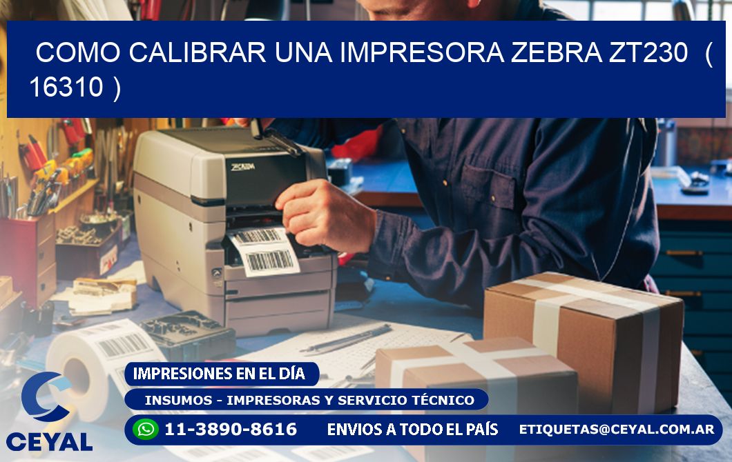 como calibrar una impresora zebra zt230  ( 16310 )