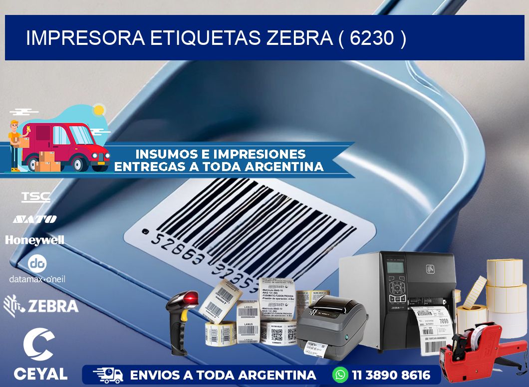 impresora etiquetas zebra ( 6230 )