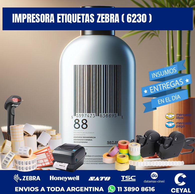 impresora etiquetas zebra ( 6230 )
