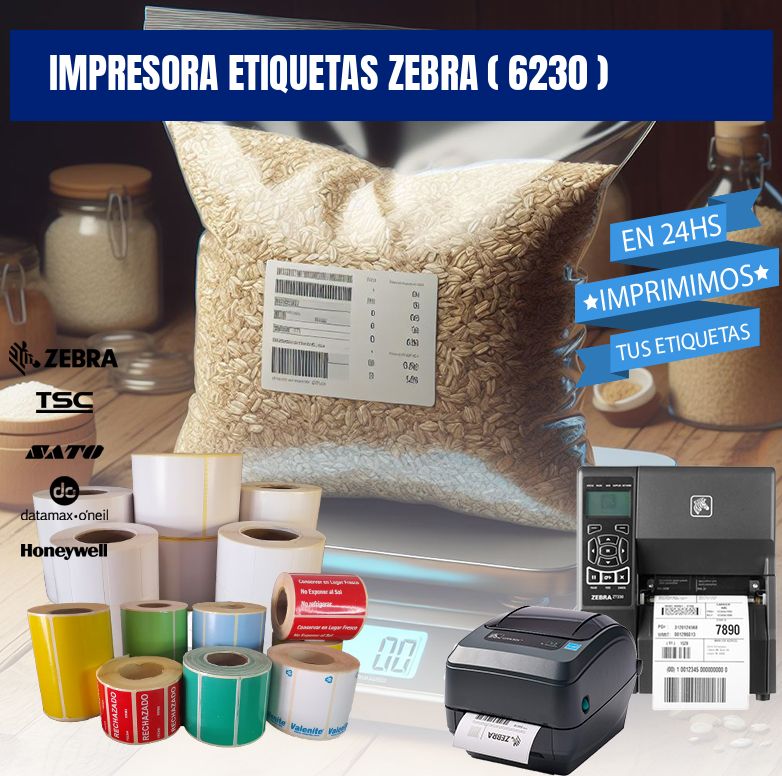 impresora etiquetas zebra ( 6230 )