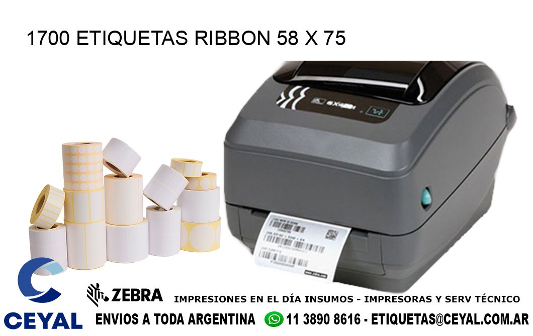 1700 ETIQUETAS RIBBON 58 x 75