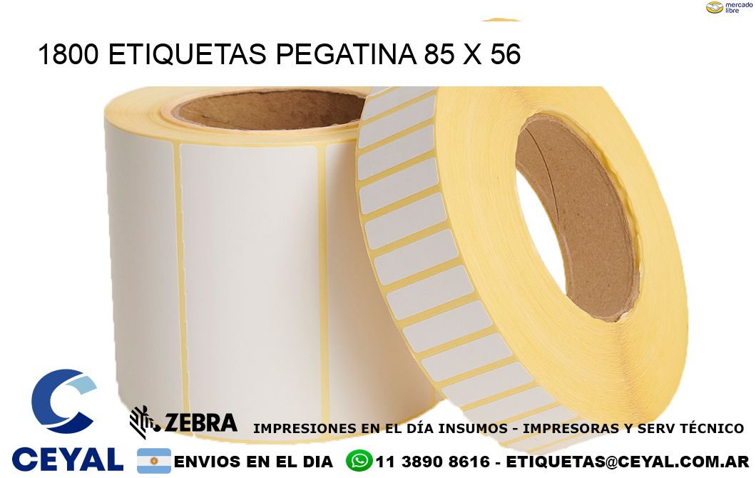 1800 ETIQUETAS PEGATINA 85 x 56