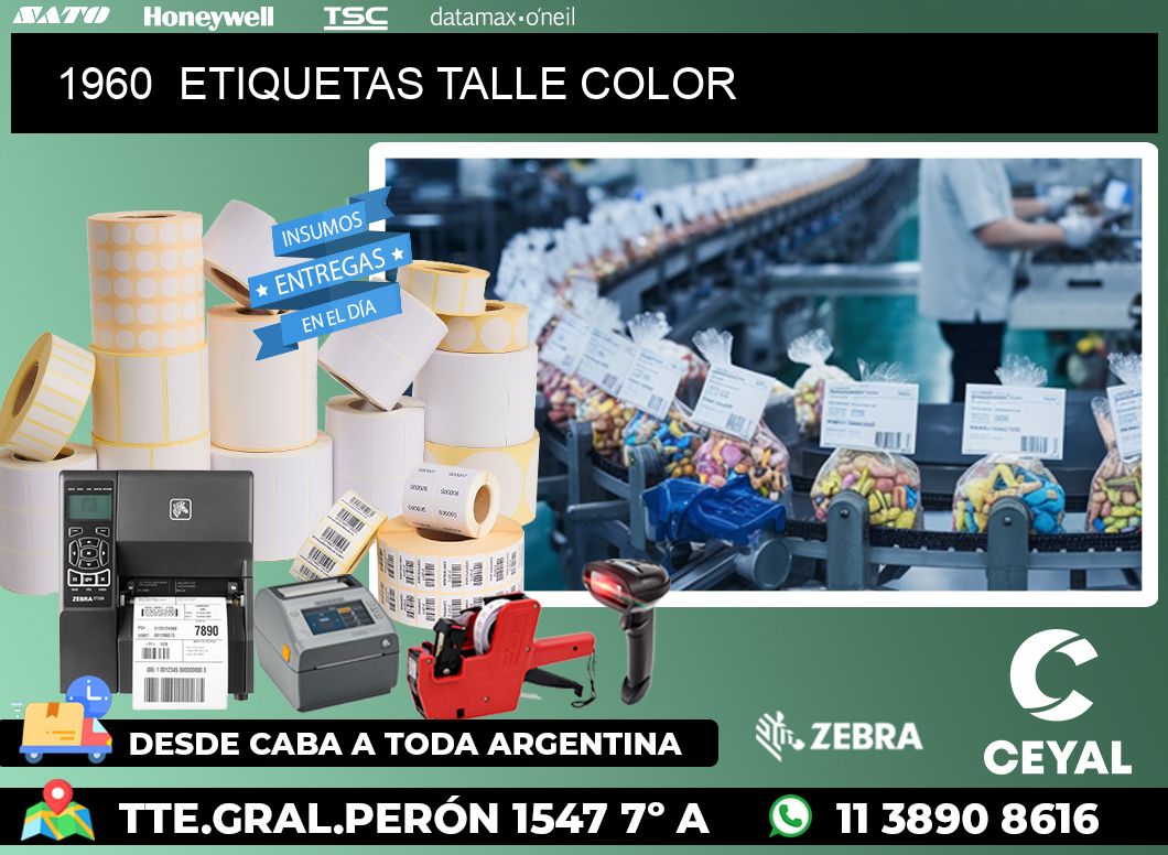1960 ETIQUETAS TALLE COLOR
