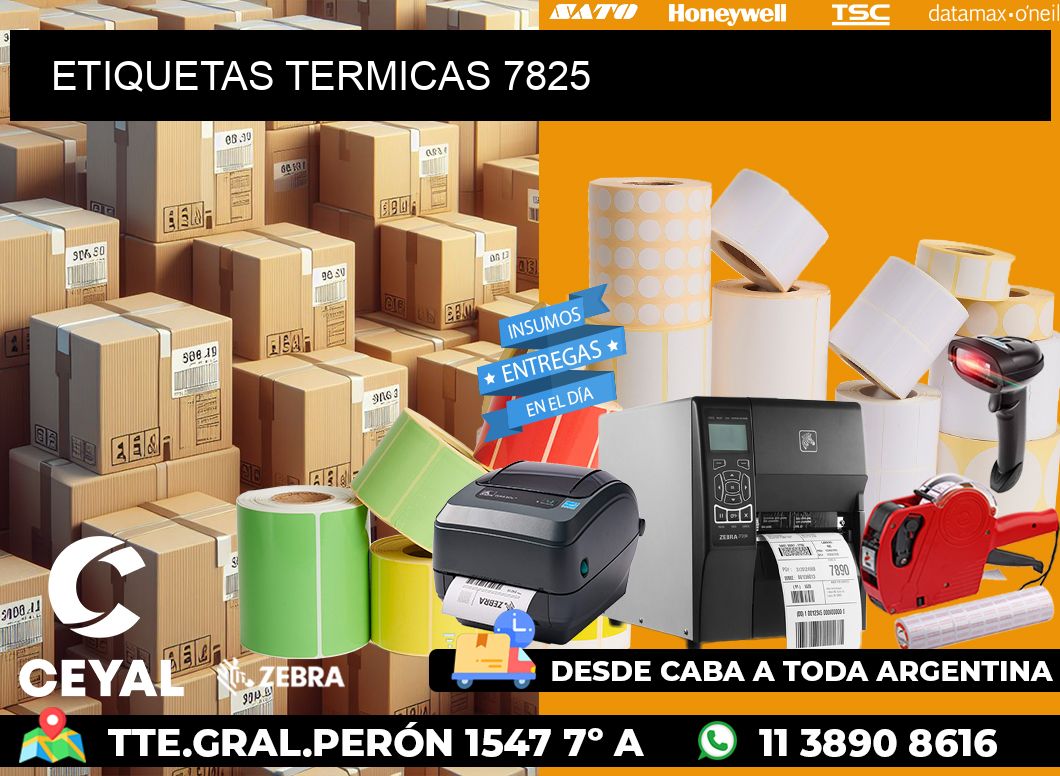 ETIQUETAS TERMICAS 7825