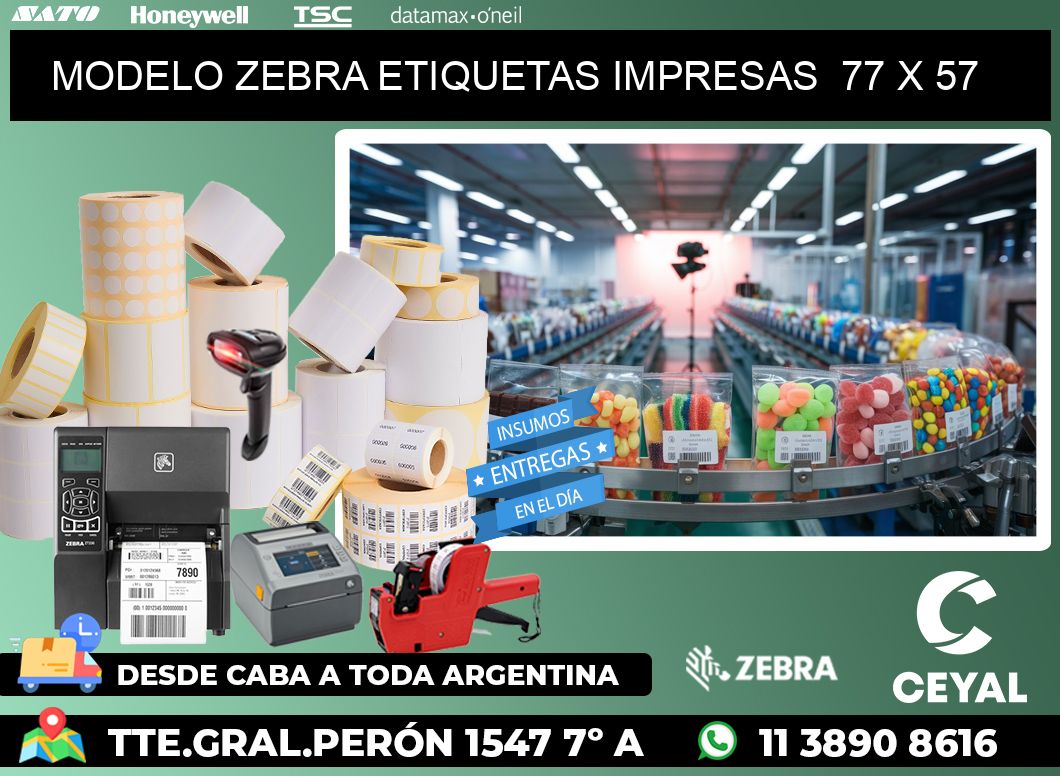 MODELO ZEBRA ETIQUETAS IMPRESAS 77 x 57