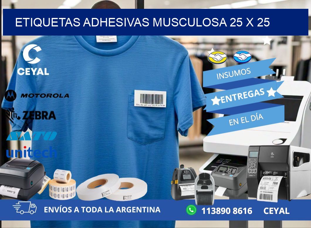 ETIQUETAS ADHESIVAS MUSCULOSA 25 x 25