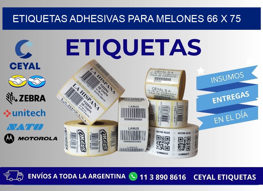 ETIQUETAS ADHESIVAS PARA MELONES 66 x 75