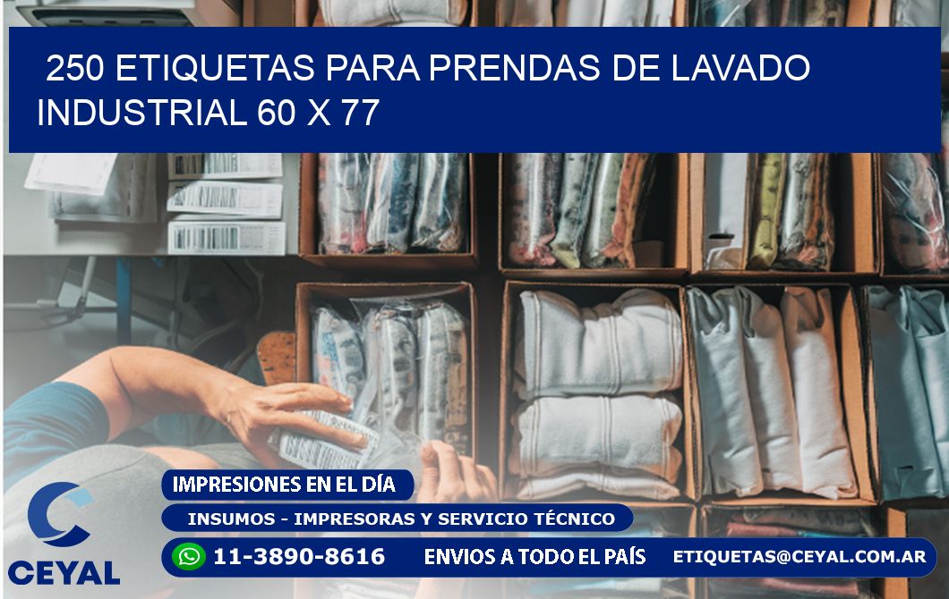 250 ETIQUETAS PARA PRENDAS DE LAVADO INDUSTRIAL 60 x 77