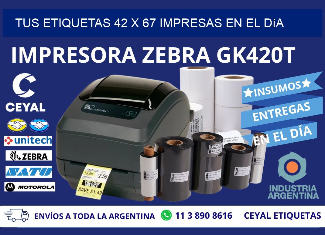 Tus Etiquetas 42 x 67 Impresas en el Día