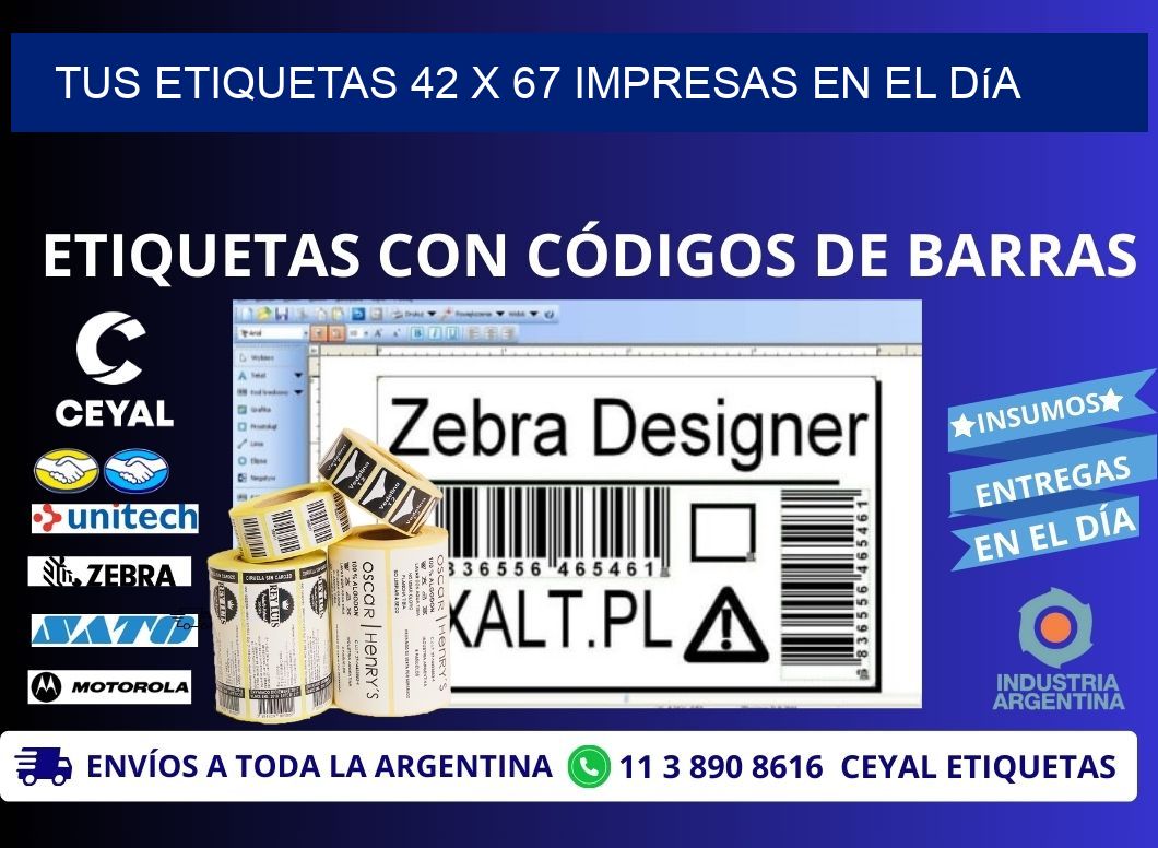 Tus Etiquetas 42 x 67 Impresas en el Día