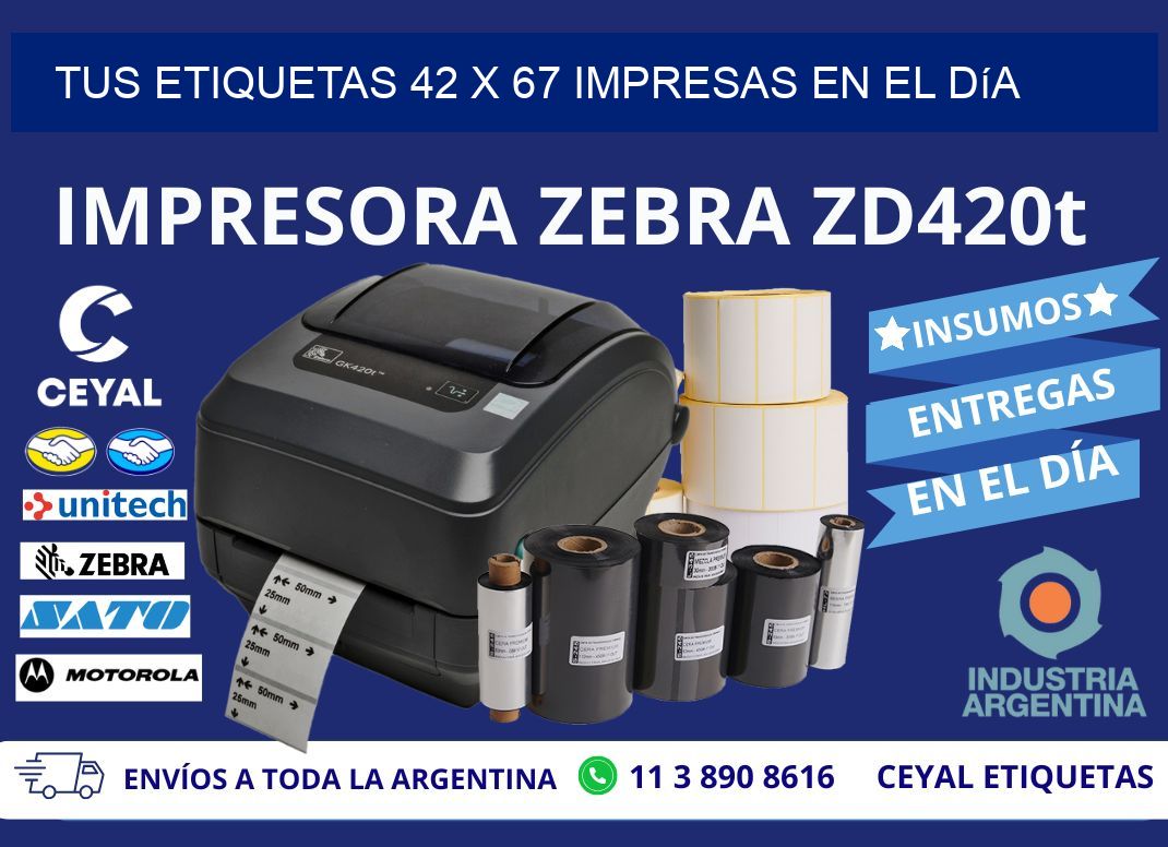 Tus Etiquetas 42 x 67 Impresas en el Día