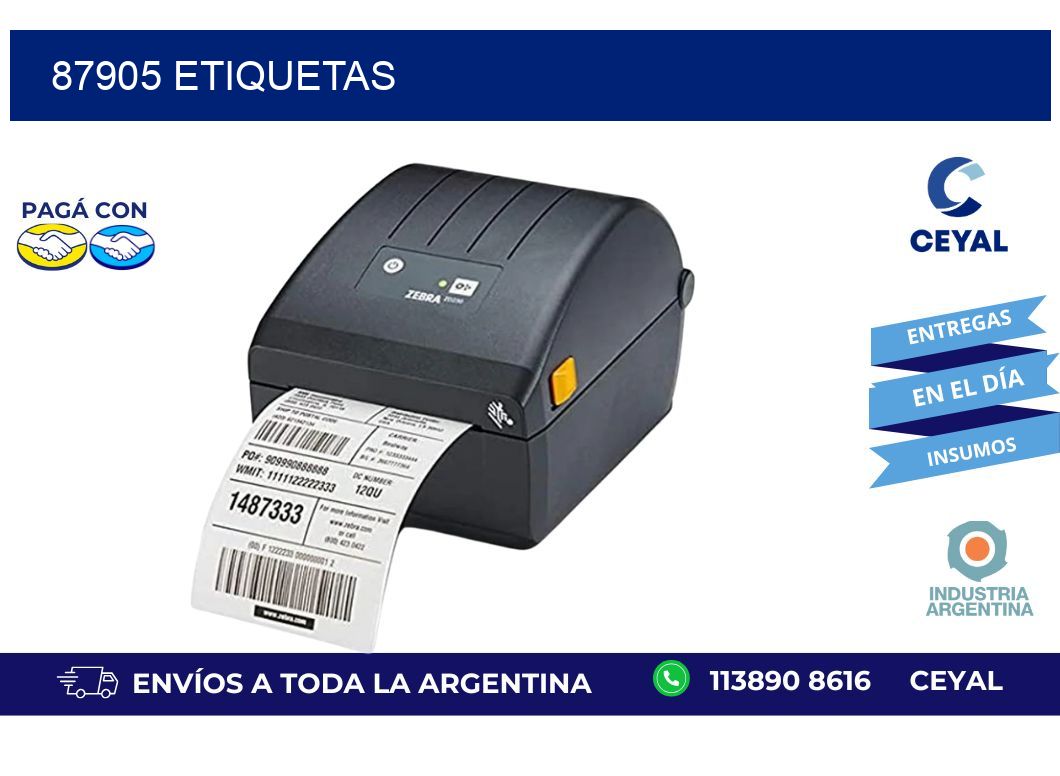 87905 ETIQUETAS