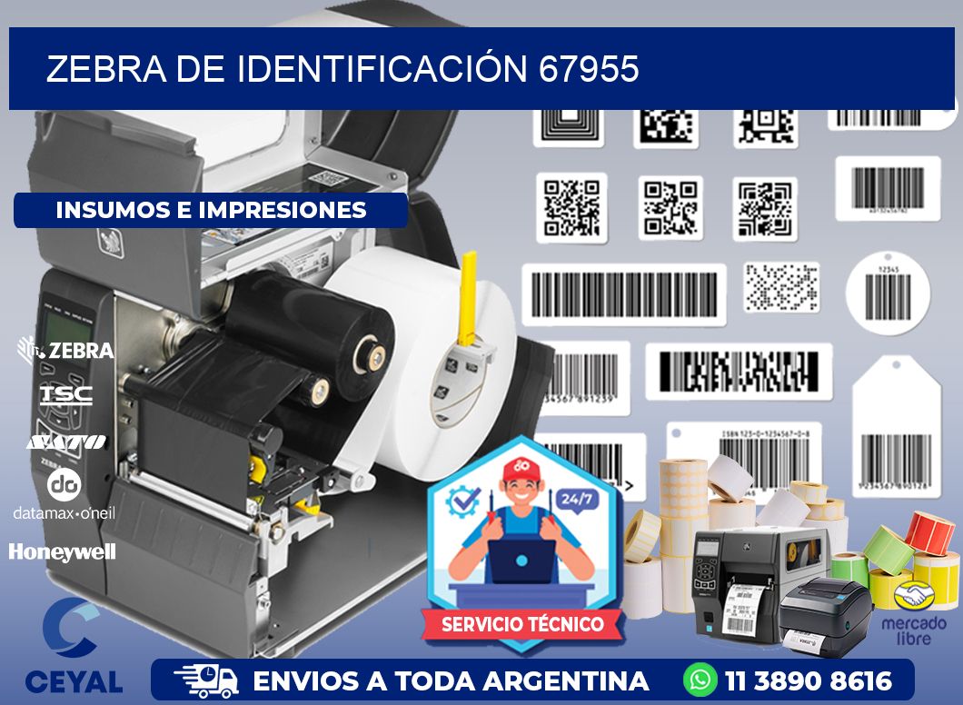 ZEBRA DE IDENTIFICACIÓN 67955