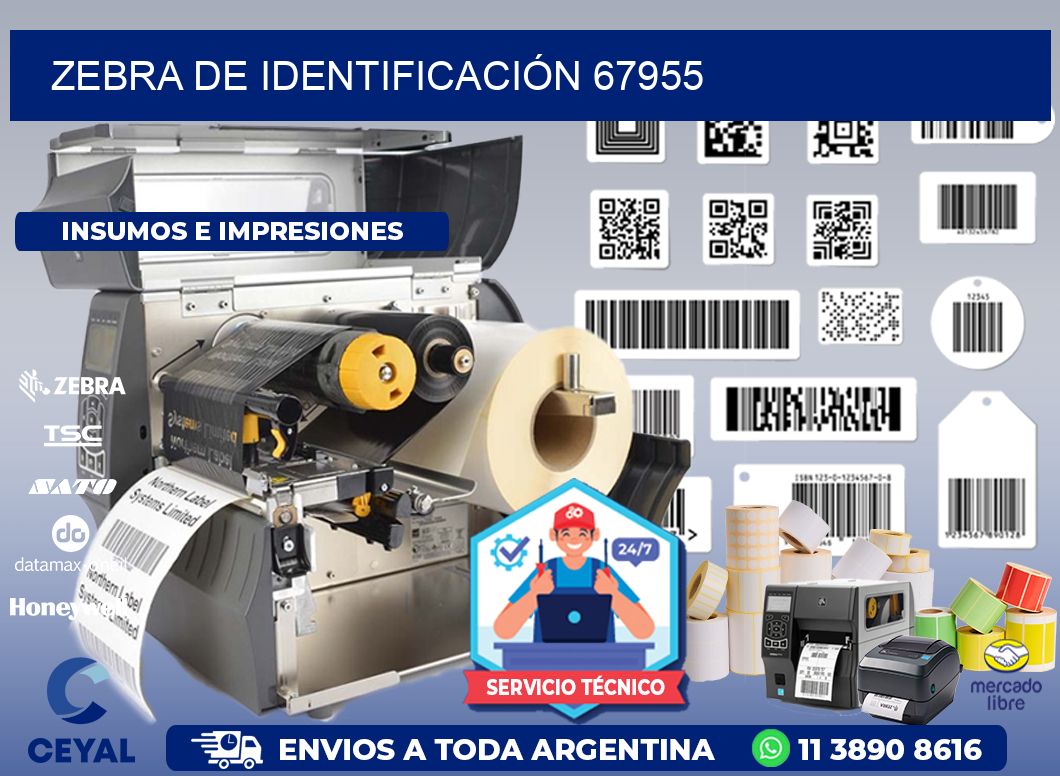 ZEBRA DE IDENTIFICACIÓN 67955