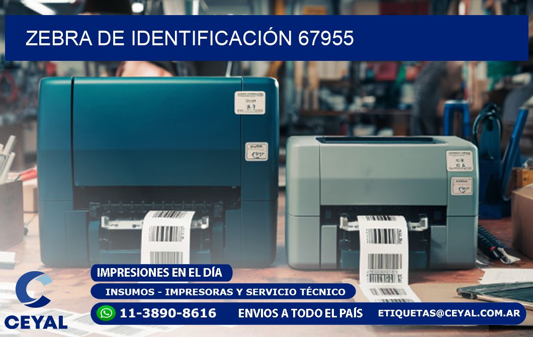 ZEBRA DE IDENTIFICACIÓN 67955