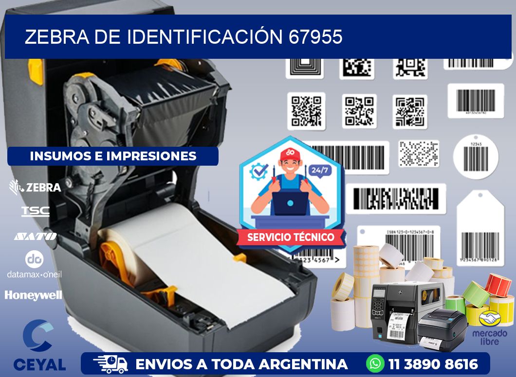 ZEBRA DE IDENTIFICACIÓN 67955