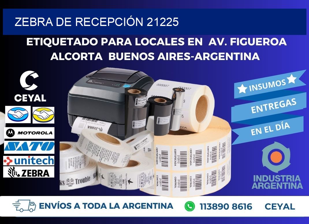 ZEBRA DE RECEPCIÓN 21225