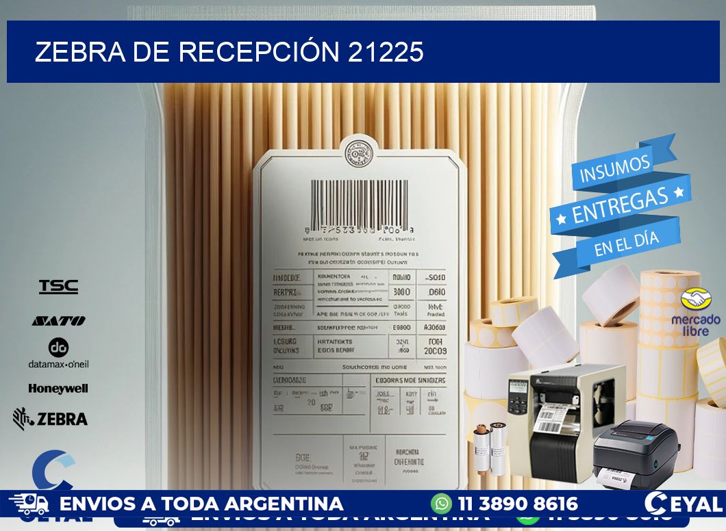 ZEBRA DE RECEPCIÓN 21225