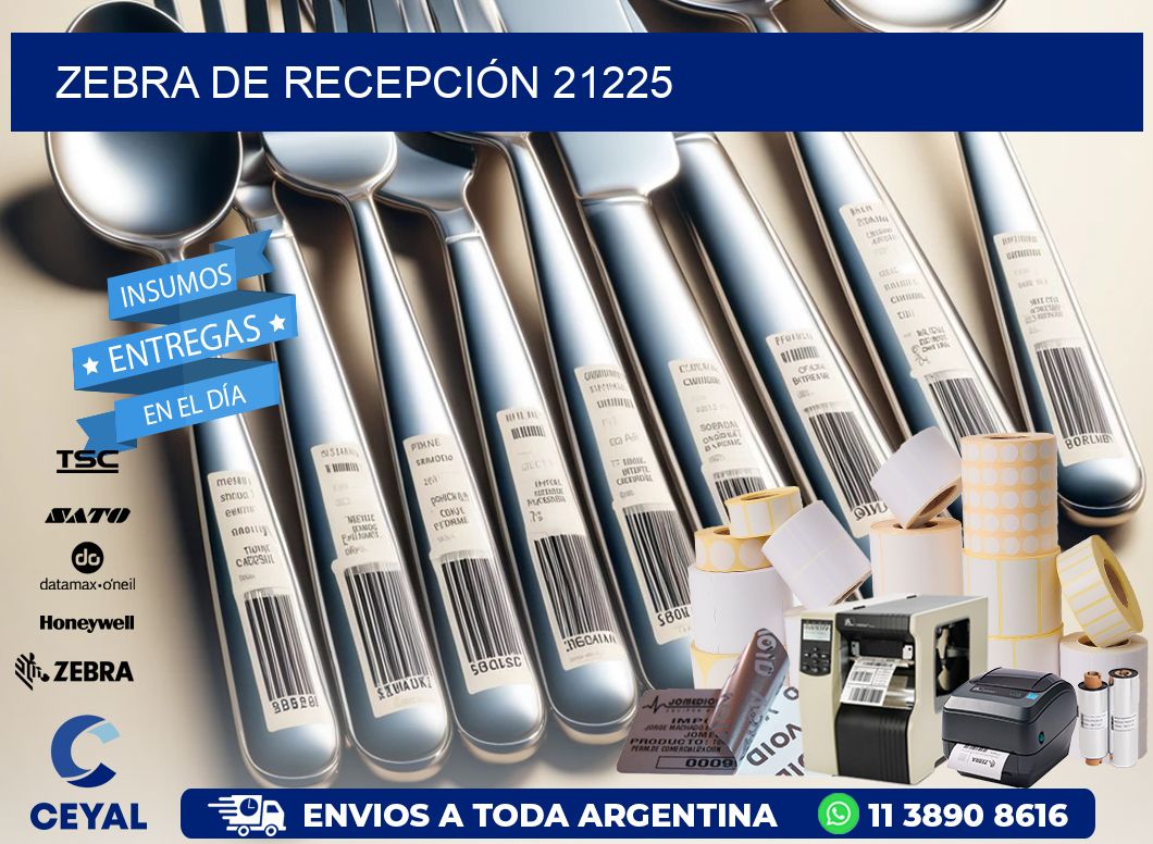 ZEBRA DE RECEPCIÓN 21225