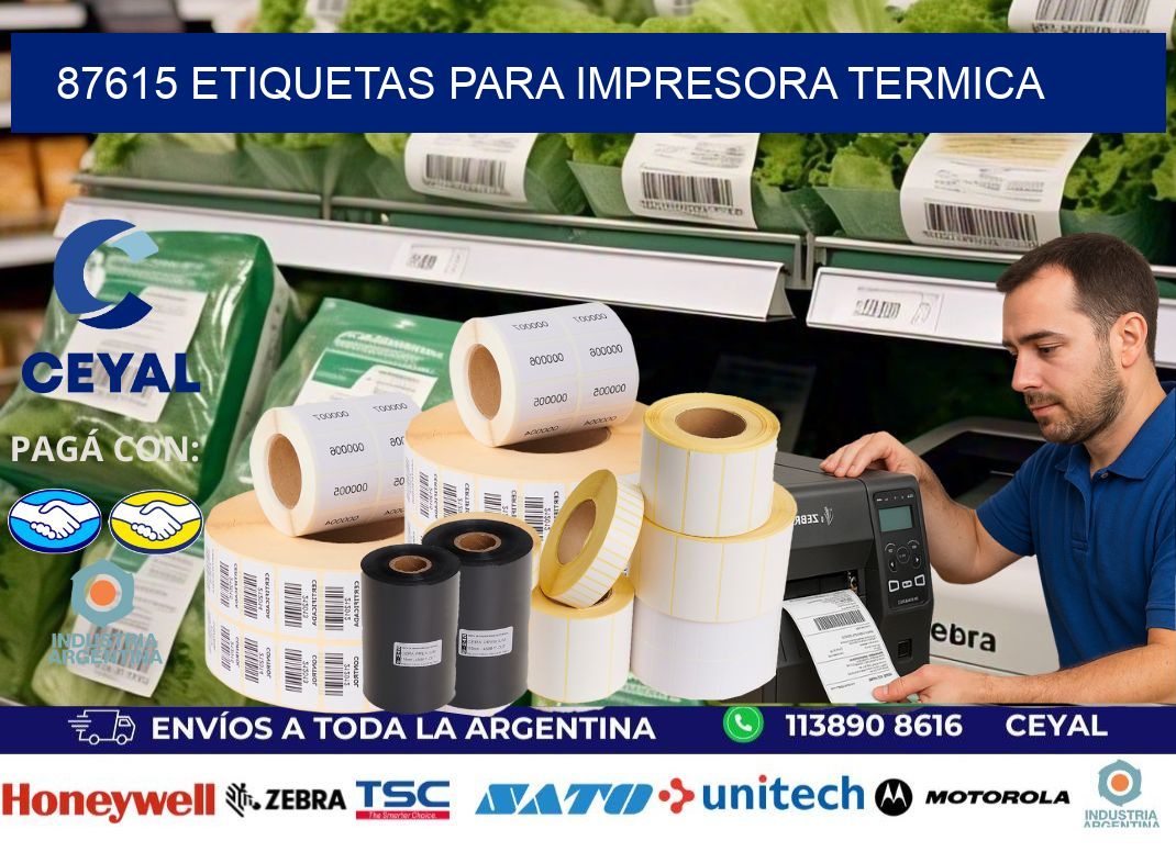 87615 ETIQUETAS PARA IMPRESORA TERMICA