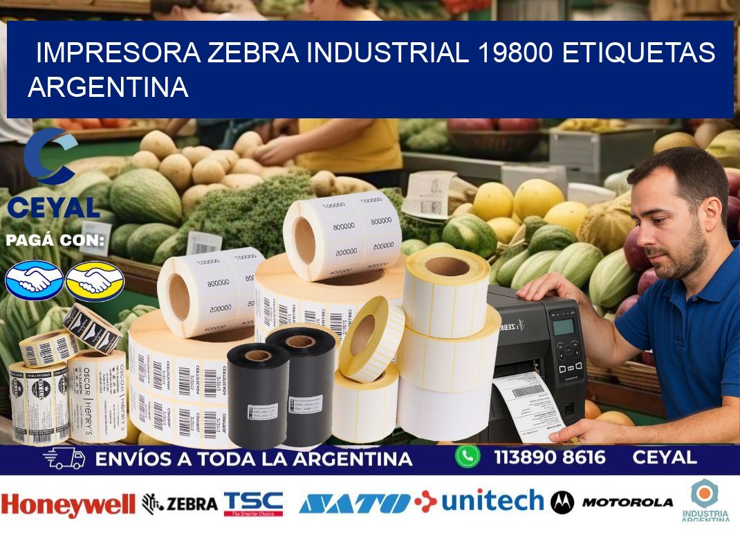 Impresora zebra industrial 19800 etiquetas argentina