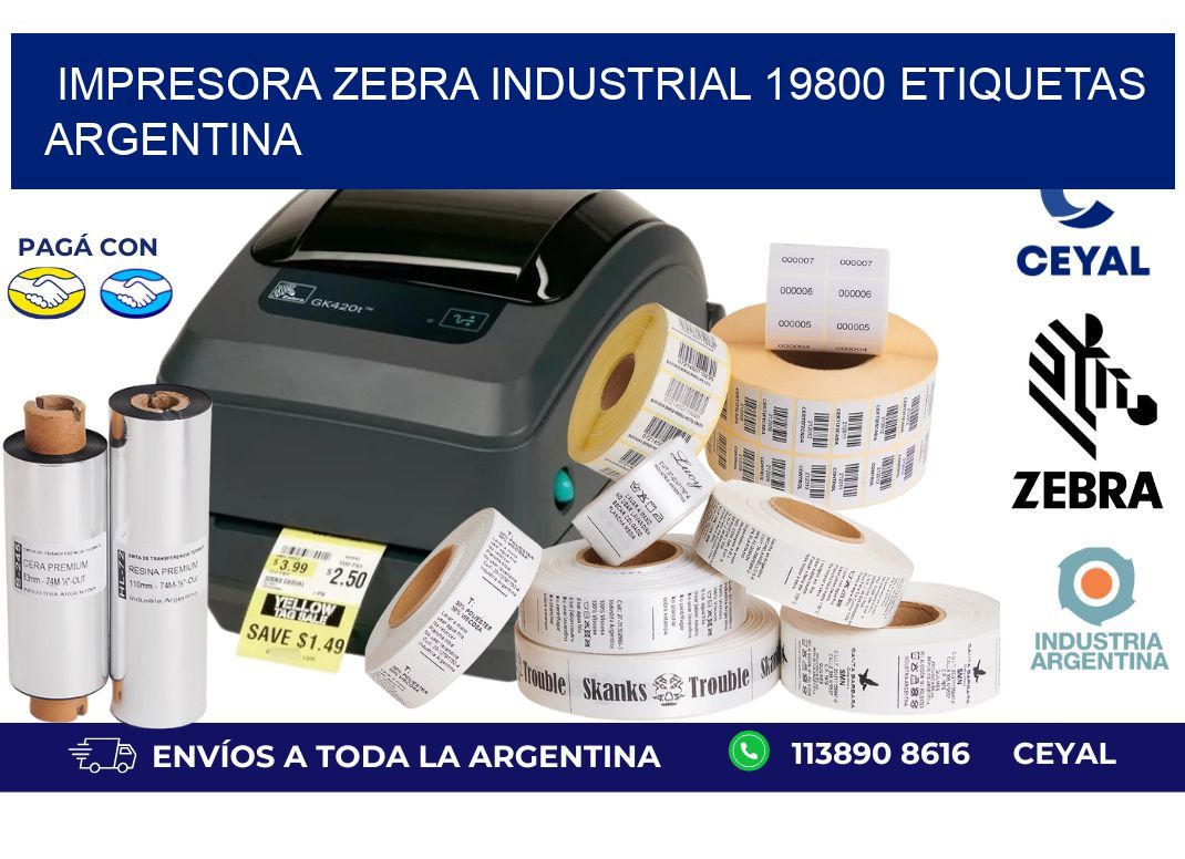 Impresora zebra industrial 19800 etiquetas argentina