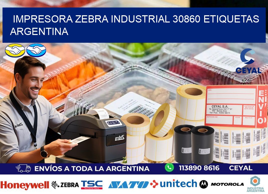 Impresora zebra industrial 30860 etiquetas argentina