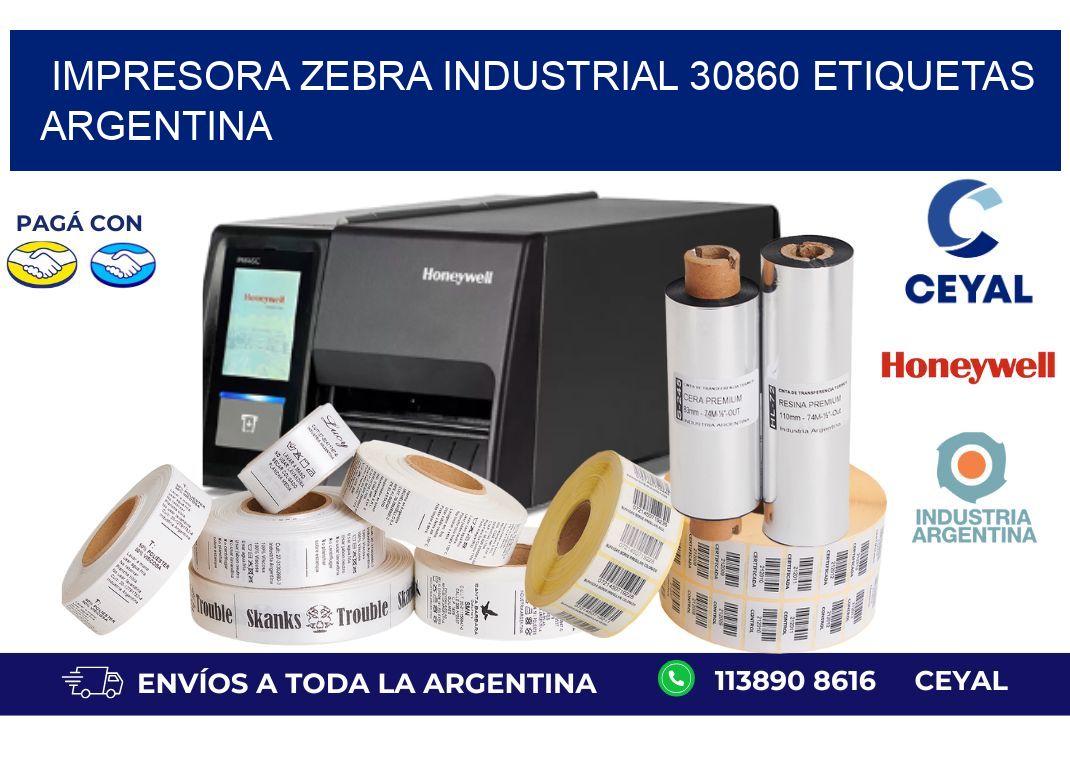 Impresora zebra industrial 30860 etiquetas argentina