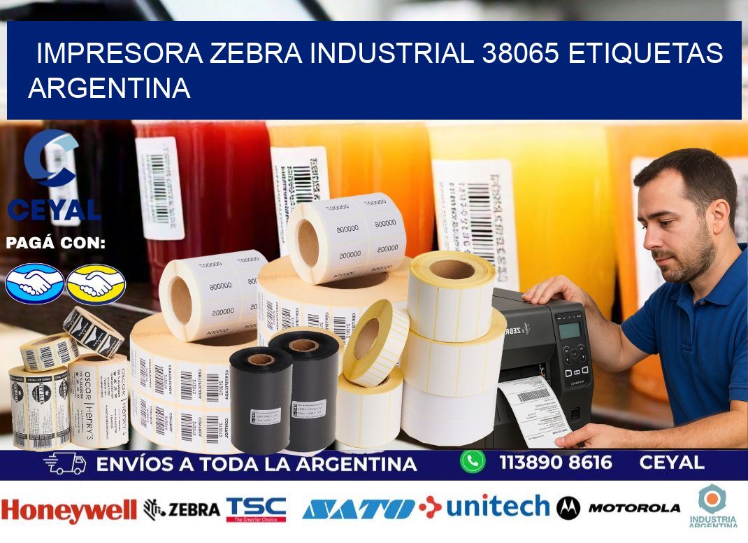 Impresora zebra industrial 38065 etiquetas argentina