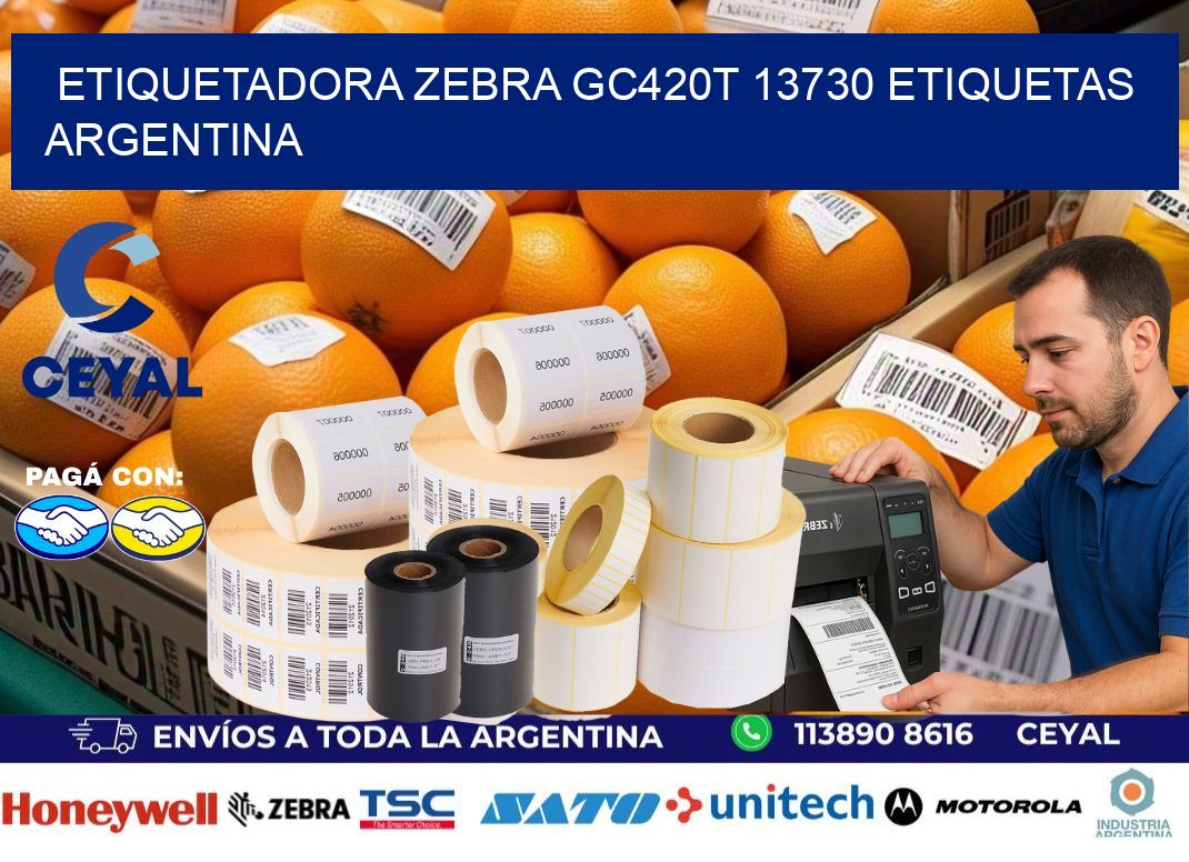 etiquetadora zebra gc420t 13730 etiquetas argentina