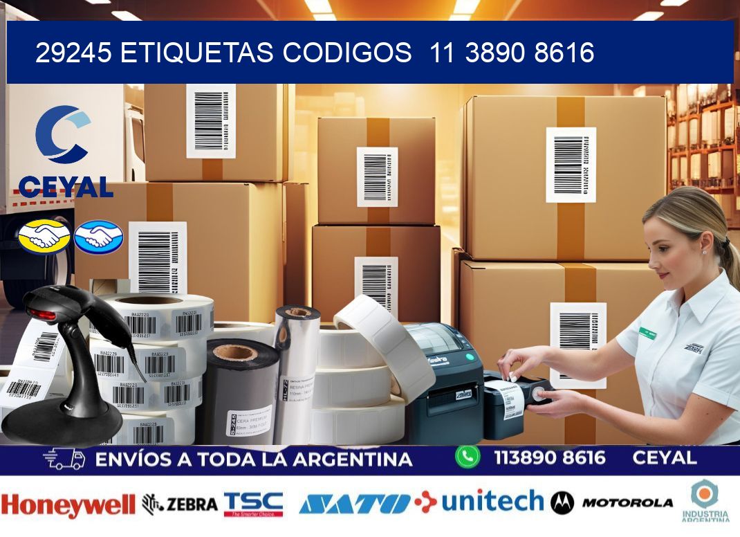 29245 ETIQUETAS CODIGOS  11 3890 8616
