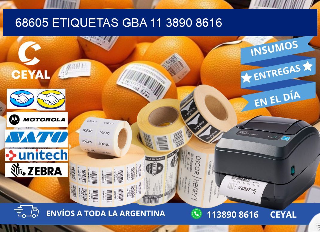 68605 ETIQUETAS GBA 11 3890 8616