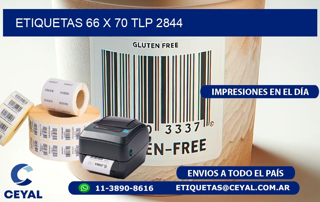 ETIQUETAS 66 x 70 TLP 2844