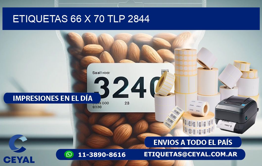 ETIQUETAS 66 x 70 TLP 2844
