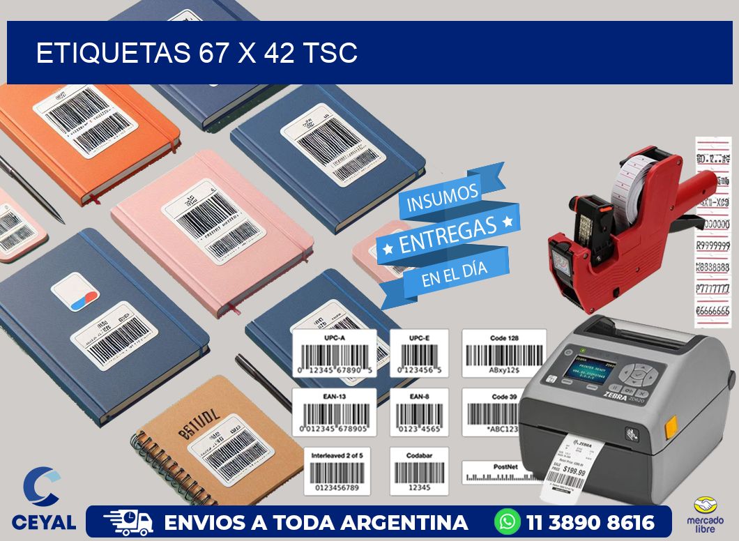 ETIQUETAS 67 x 42 TSC
