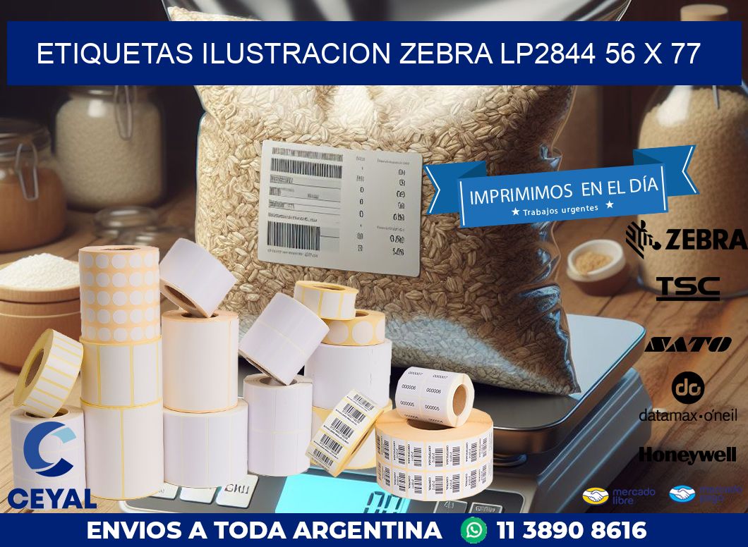 ETIQUETAS ILUSTRACION ZEBRA LP2844 56 x 77
