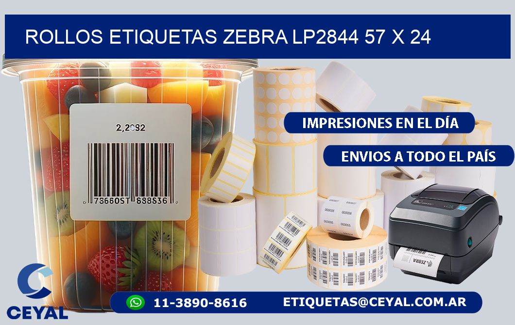 ROLLOS ETIQUETAS Zebra LP2844 57 x 24