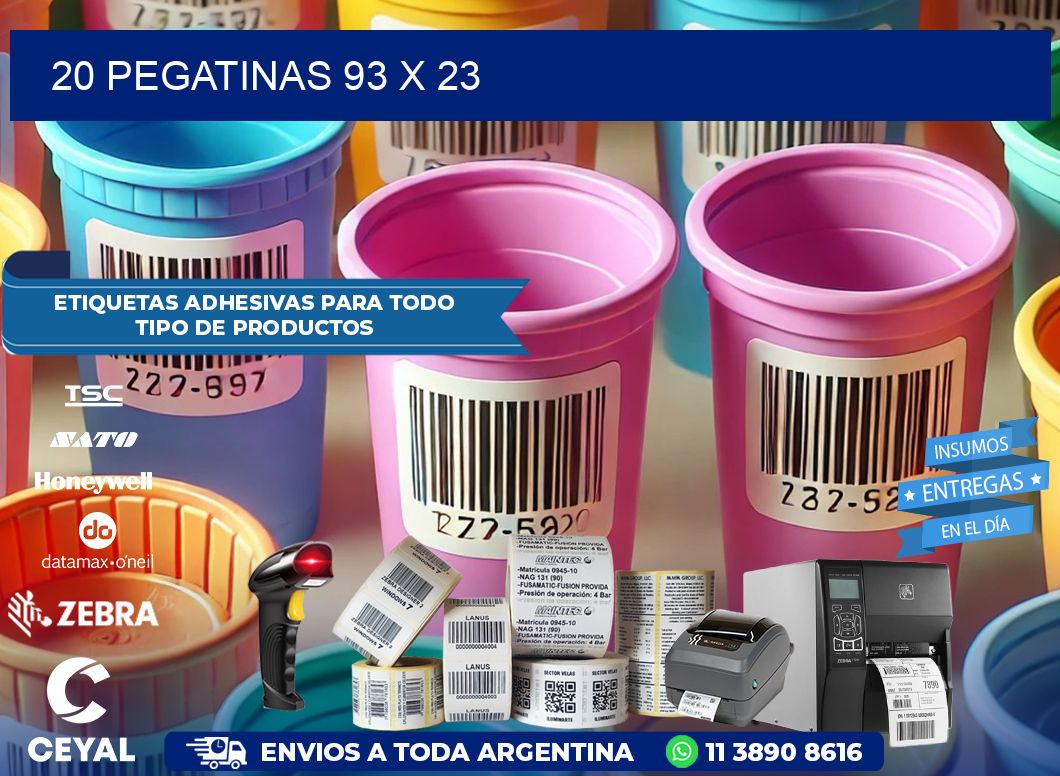 20 PEGATINAS 93 x 23