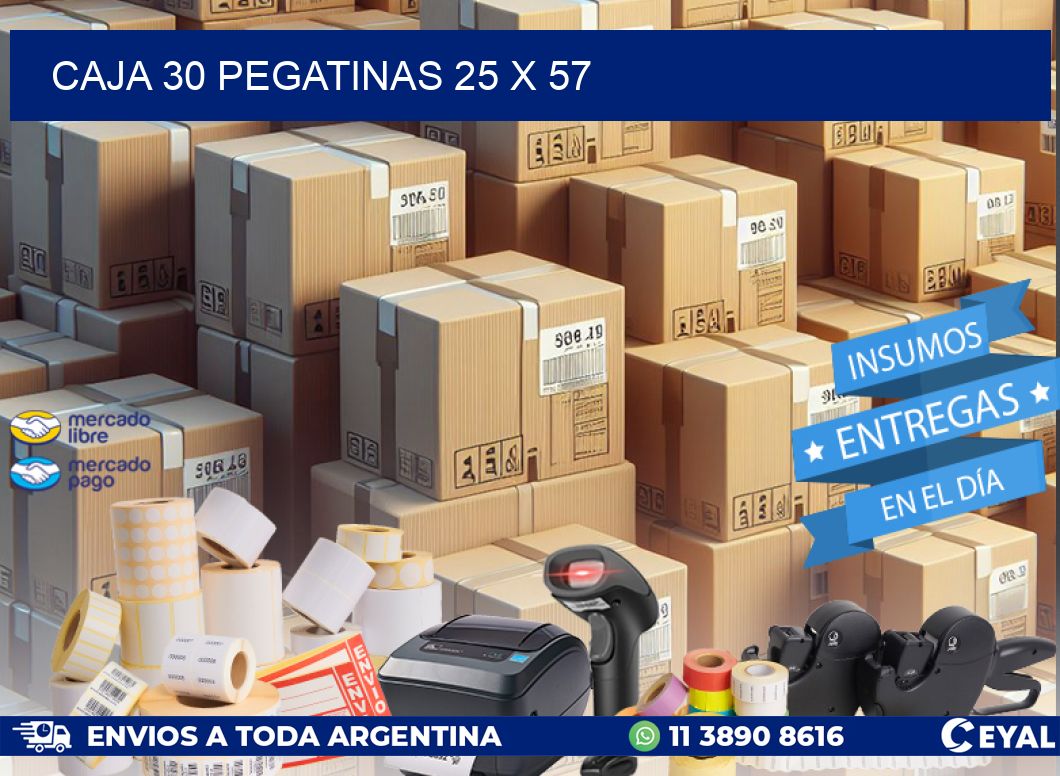 CAJA 30 PEGATINAS 25 x 57