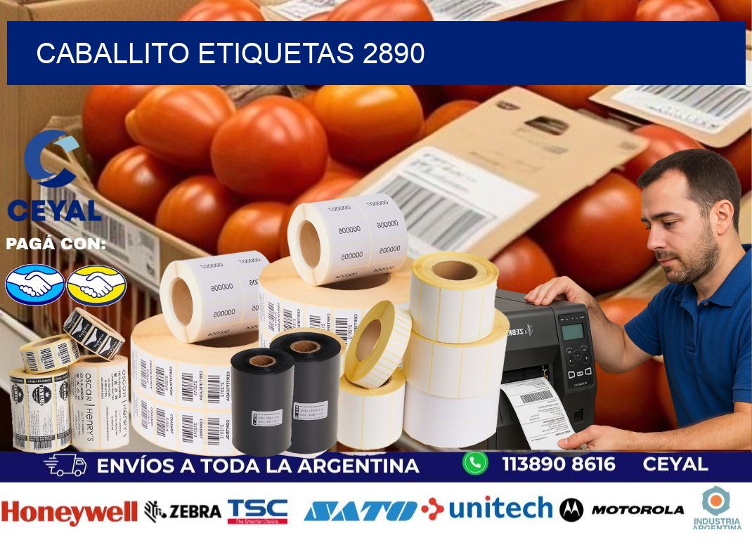 Caballito etiquetas 2890