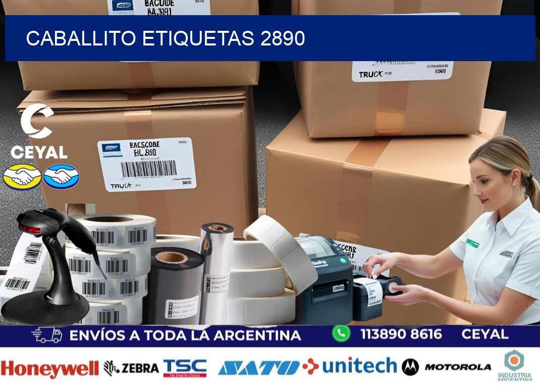 Caballito etiquetas 2890