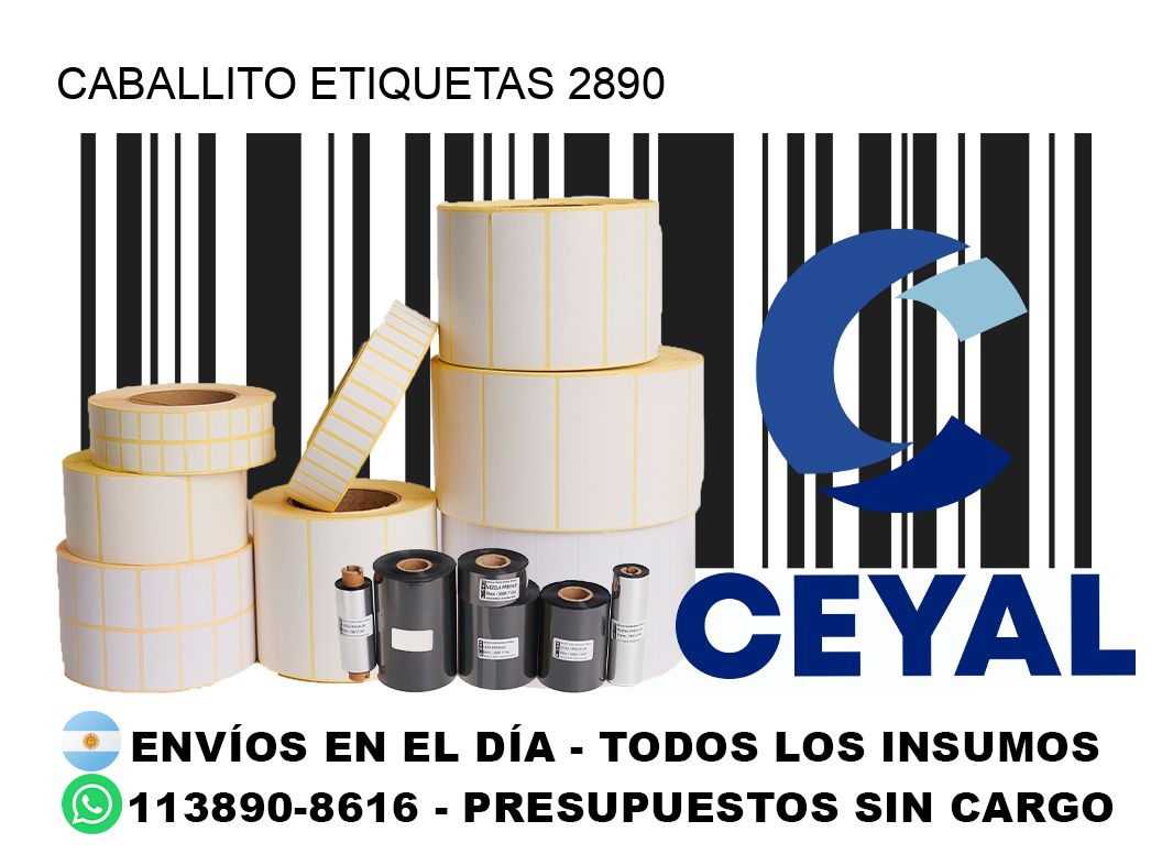 Caballito etiquetas 2890