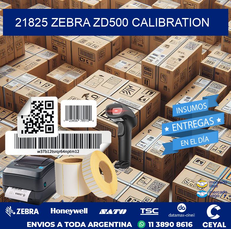 21825 Zebra ZD500 Calibration