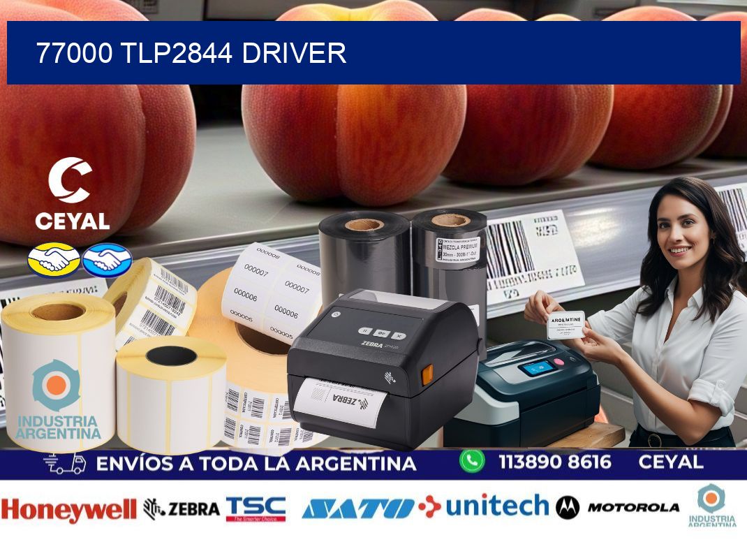 77000 TLP2844 driver