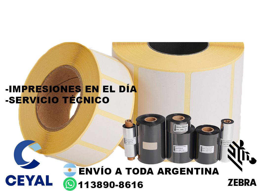 780 Como reiniciar una impresora Zebra  ZD220