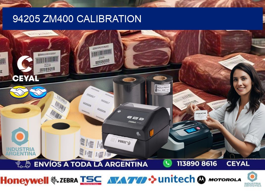 94205 ZM400 Calibration