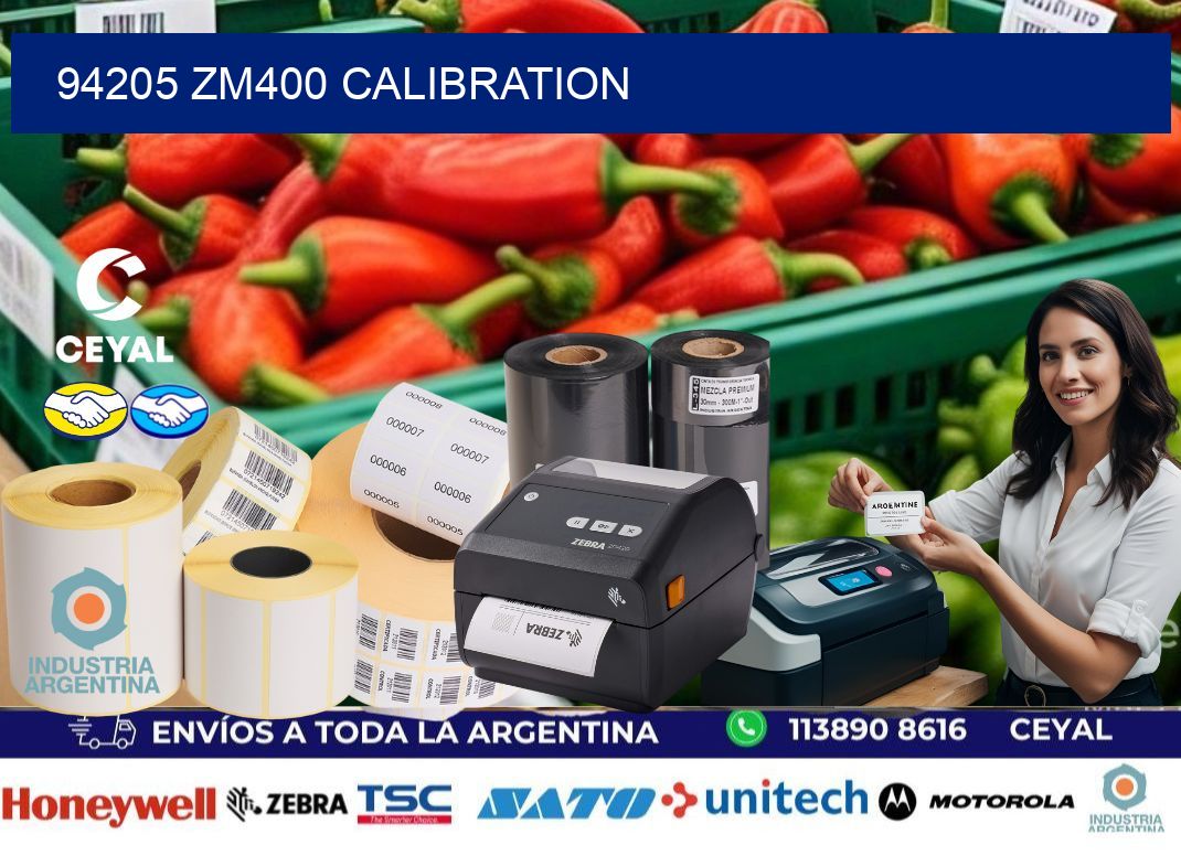 94205 ZM400 Calibration